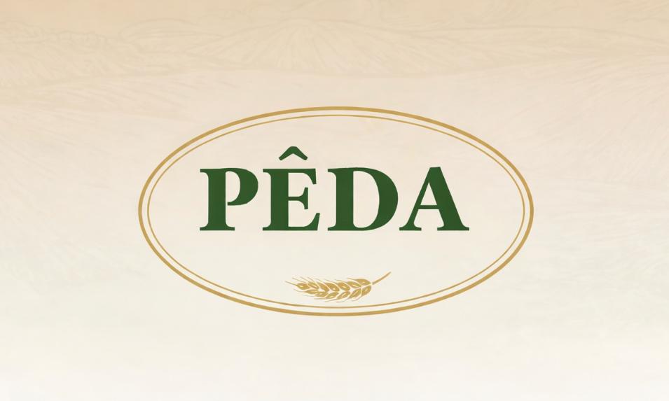 Peda Food